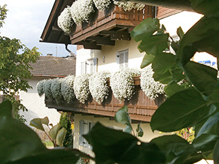 Haus Hattlerhof